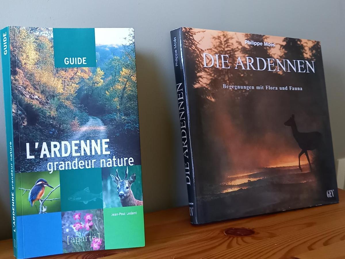 הוילה בסטון Gite Citadin 3 Epis "Carpe Diem" מראה חיצוני תמונה